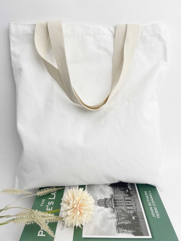 CARRY TOTE | Premium Canvas Tote Bag - 39×43cm - Image 14