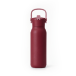 SipN'Go | 700ml Insulated Stainless Steel Water Bottle with Straw